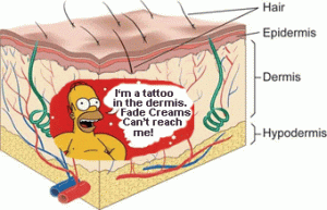 Tattoo fade cream cannot penetrate the epidermis to reach tattoos in the dermis. Even Homer Simpson knows that!